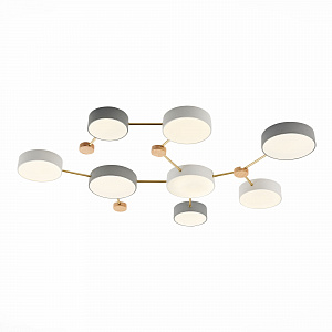 Потолочная люстра Evoluce DOSSENA SLE600102-08
