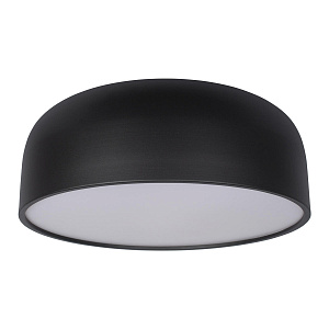 Потолочный накладной черный светильник Loft It Axel 10201/480 Black