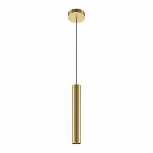 Подвесной светильник цилиндр Maytoni Pro Focus MOD161PL-01G1