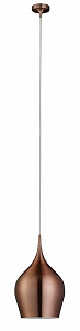 Подвесной светильник Arte Lamp Vibrant A6426SP-1BZ
